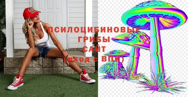 круглые Абаза