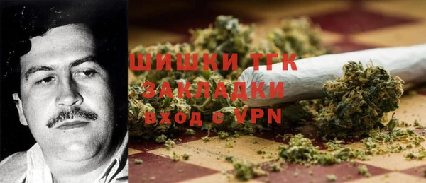 ГАЛЛЮЦИНОГЕННЫЕ ГРИБЫ Алзамай