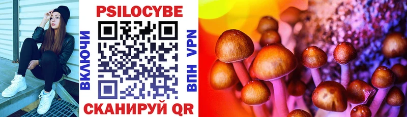 Псилоцибиновые грибы Magic Shrooms  Ковдор 
