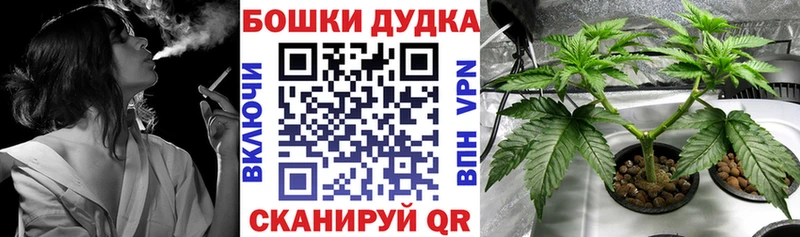 Марихуана Amnesia  KRAKEN рабочий сайт  Ковдор 